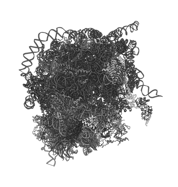 Molecular structure grayscale